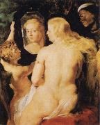 Peter Paul Rubens Venus at a Mirror France oil painting artist